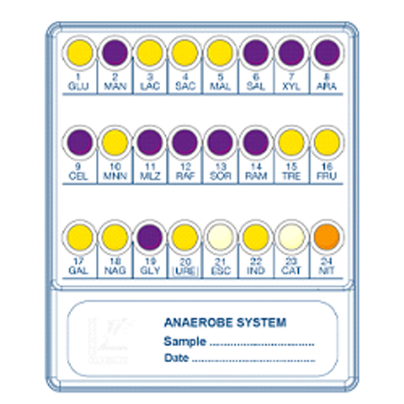 Liofilchem_Anaerob_System