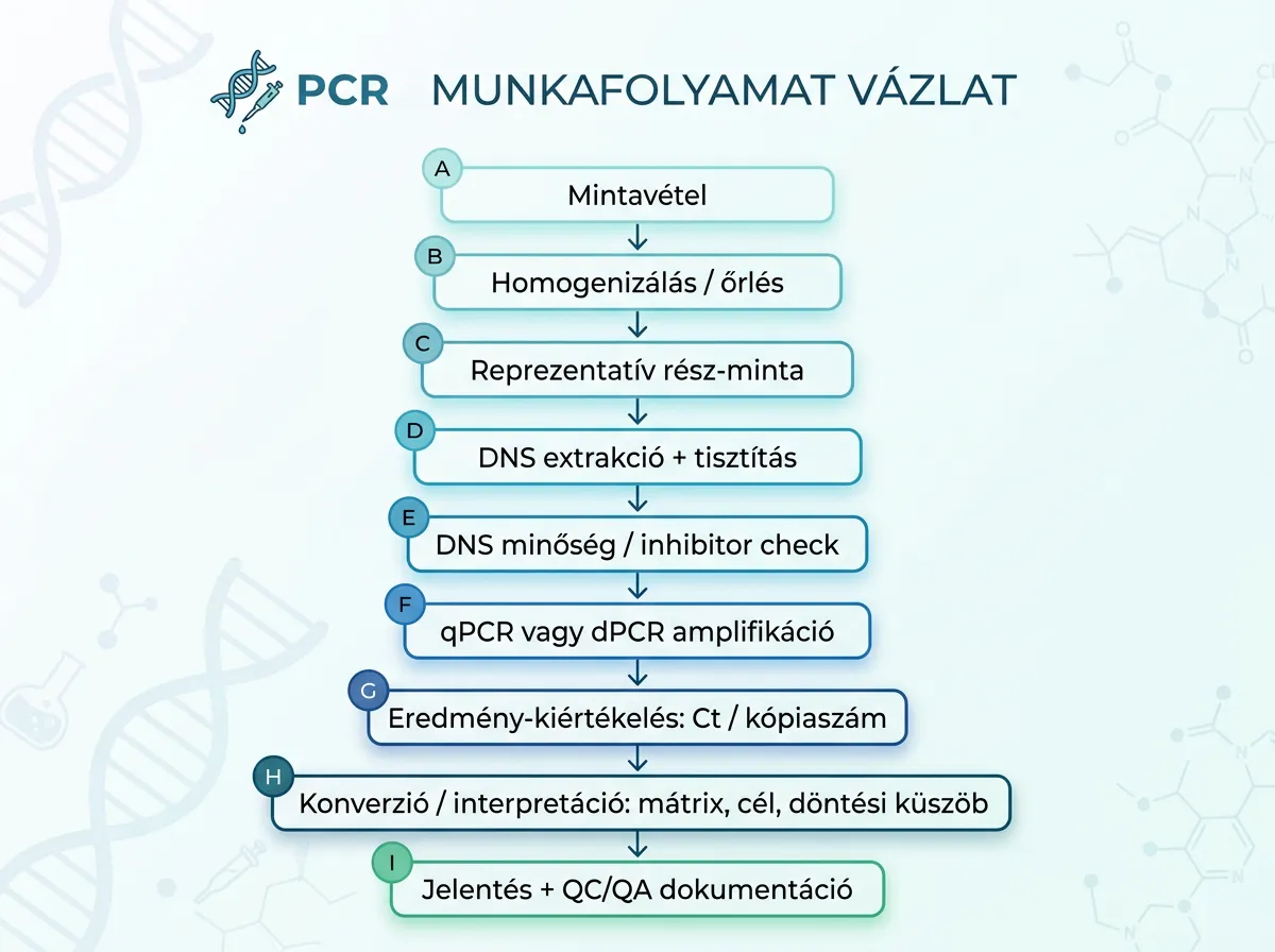 PCR teszt munkafolyamat vázlat