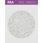 CountEasy-RSA
