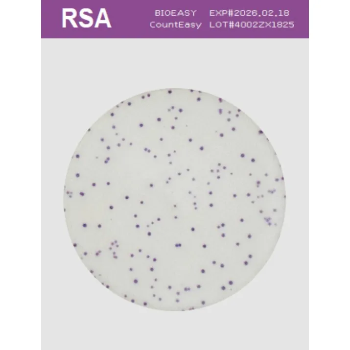 CountEasy-RSA