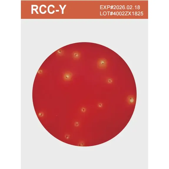 RCC-Y