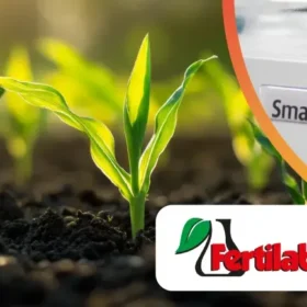 Hogyan alakította át a FERTILAB® a nedves kémiai munkafolyamatát a SmartChem® diszkrét analizátorral?